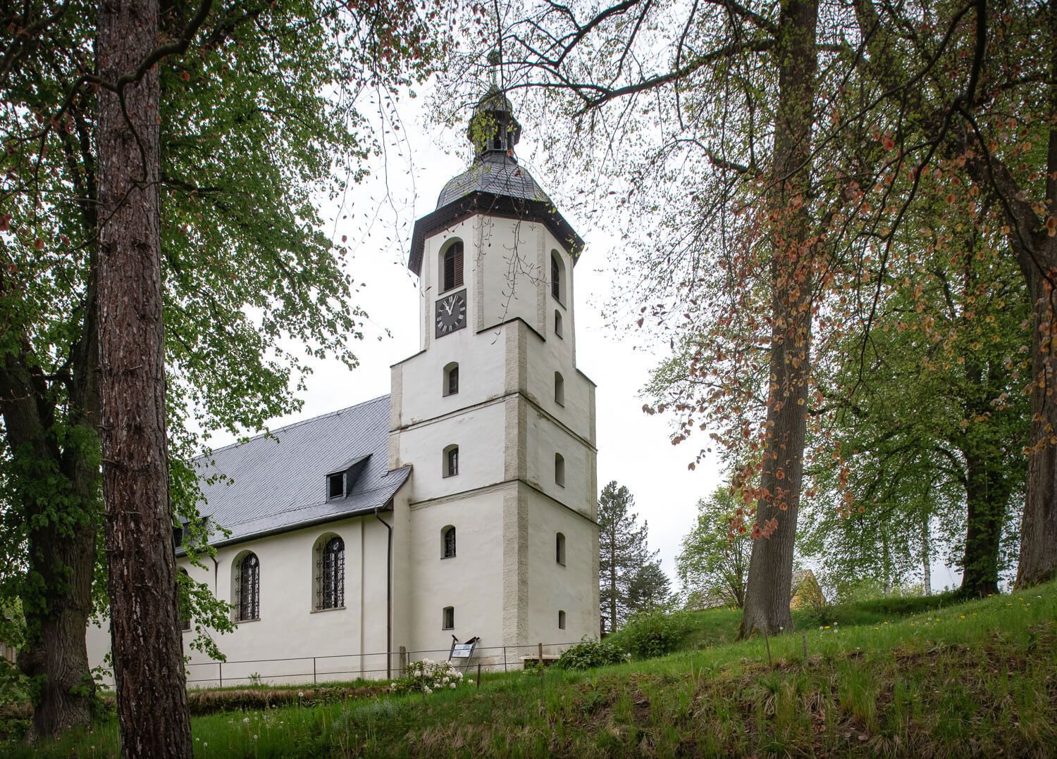 Obrázek /media/kiylhfbf/_dsc5028.jpg