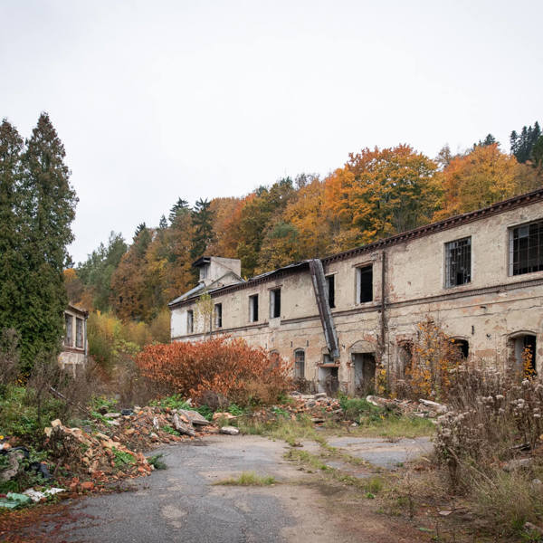 Obrázek /media/kvwgh3ab/_dsc3538.jpg