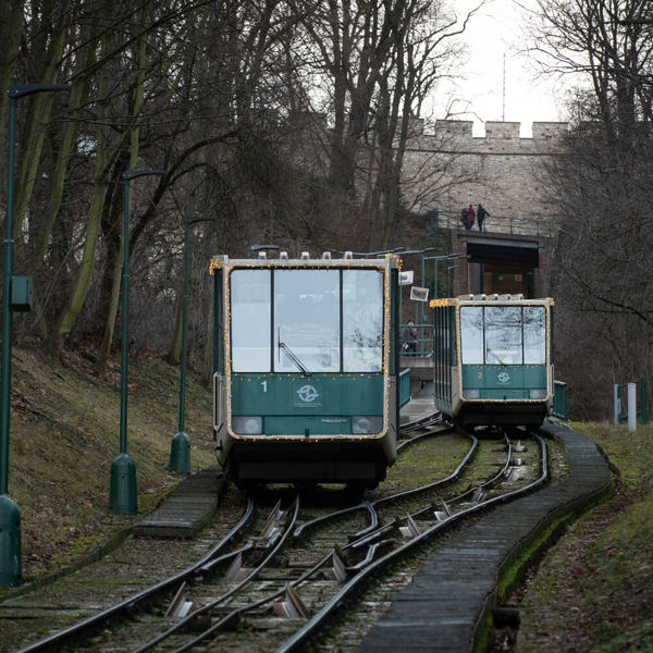 Obrázek /media/ldzbc2v2/_dsc6588.jpg