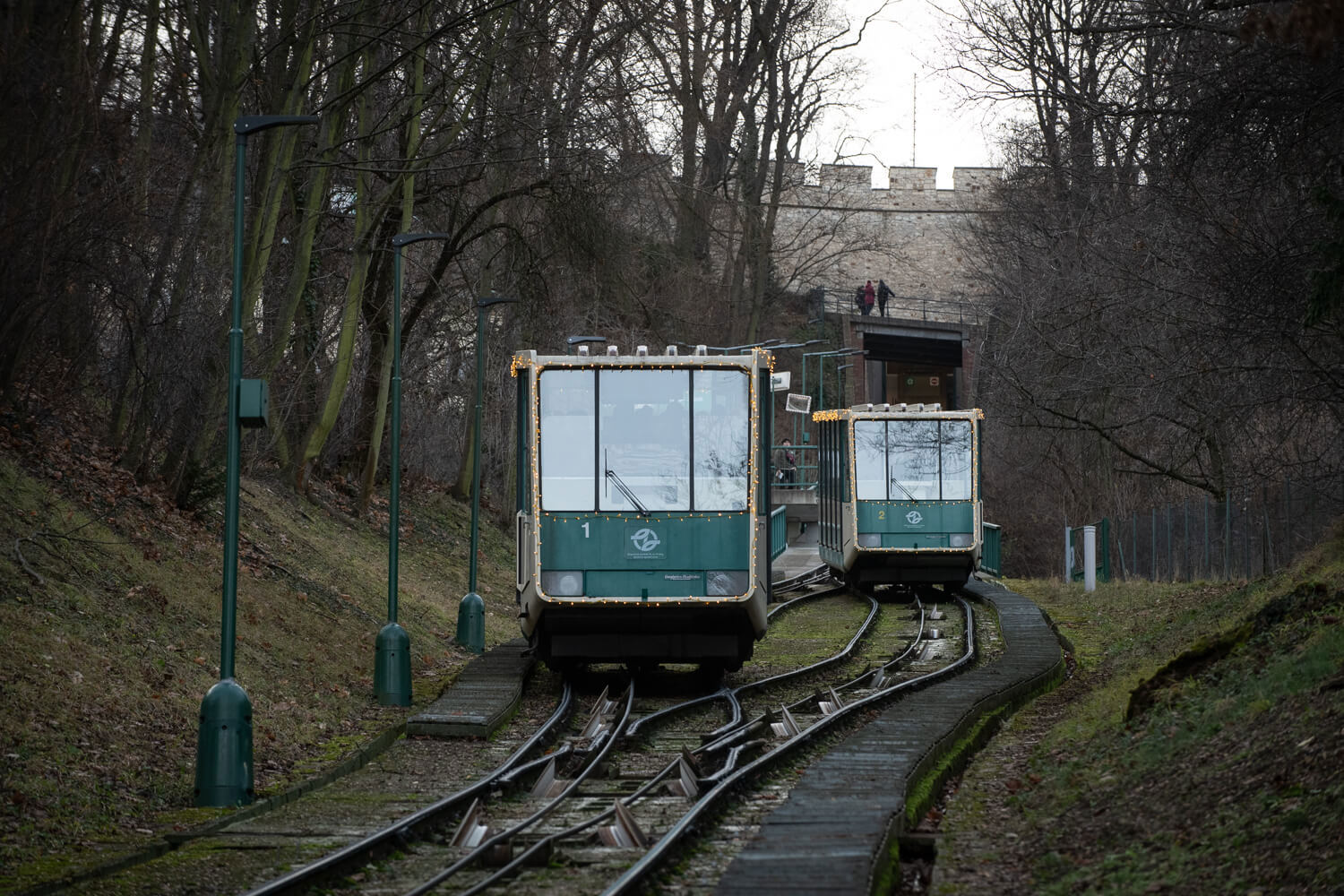 Obrázek /media/ldzbc2v2/_dsc6588.jpg