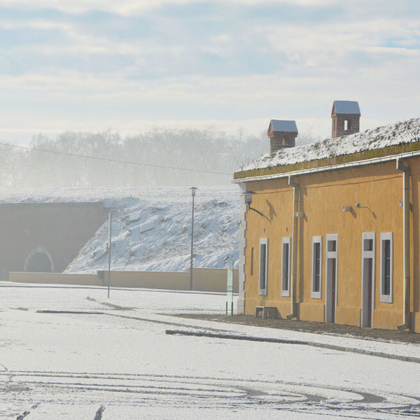 Obrázek /media/le5id44i/dsc_6668.jpg