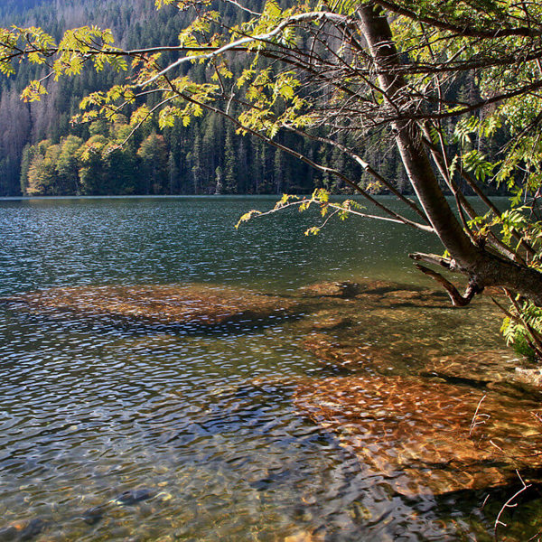 Obrázek /media/ltrbpftc/cerne_jezero2.jpg