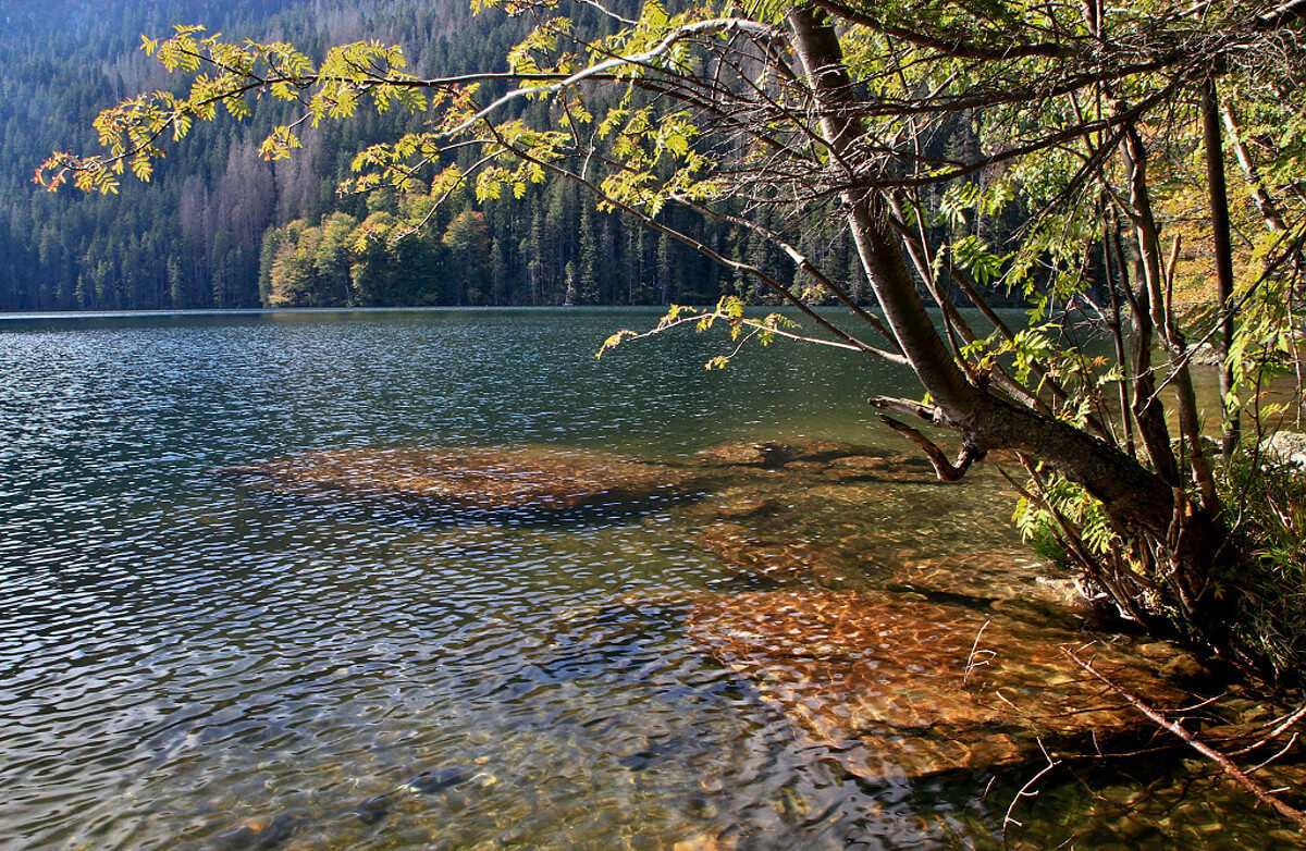 Obrázek /media/ltrbpftc/cerne_jezero2.jpg