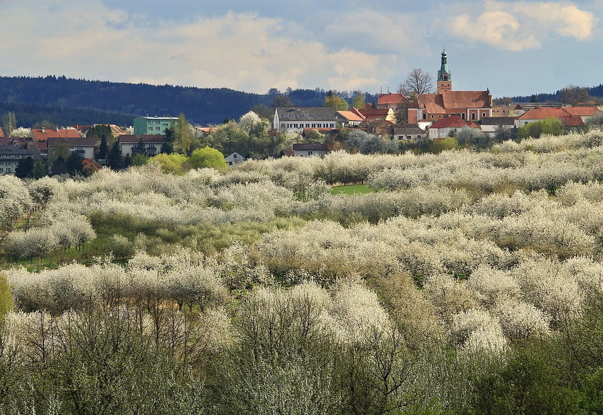 Obrázek /media/mt1fcum3/lhenice.jpg