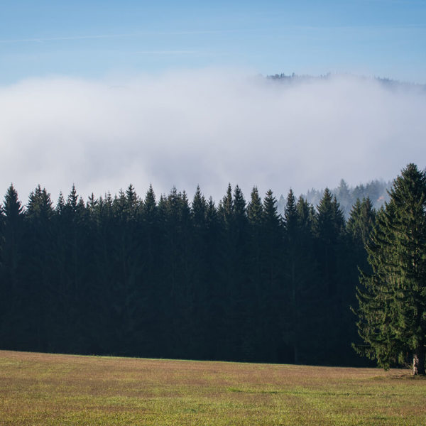 Obrázek /media/nodaqmkb/_dsc9345.jpg