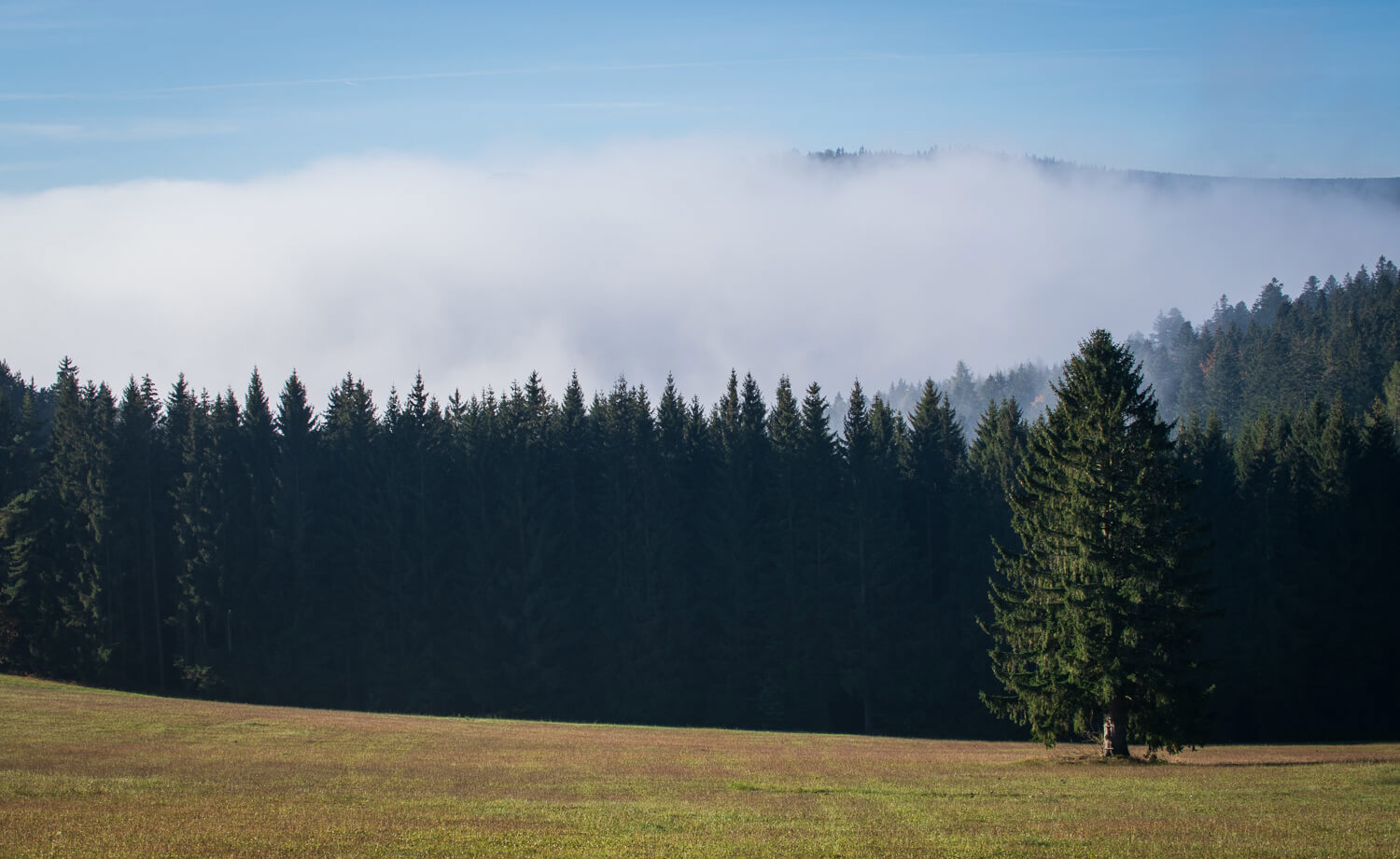 Obrázek /media/nodaqmkb/_dsc9345.jpg