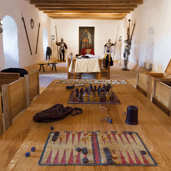 Obrázek /media/nwthccga/hrad-svojanov_hrad-svojanov-13.jpg