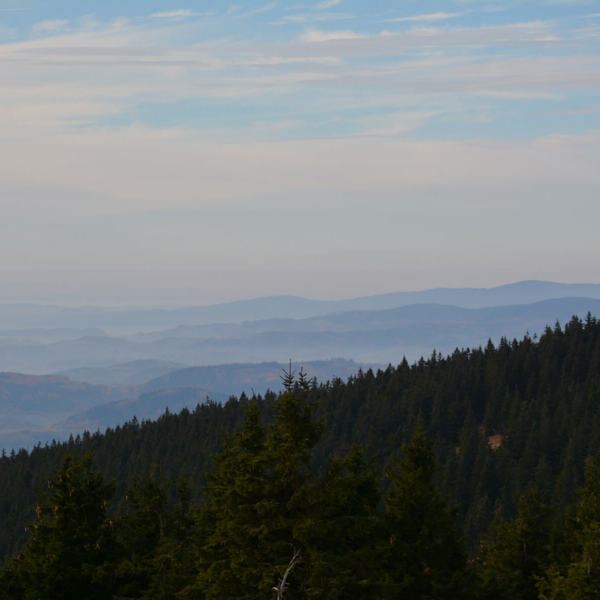 Obrázek /media/o52nqcgz/dsc_7807.jpg
