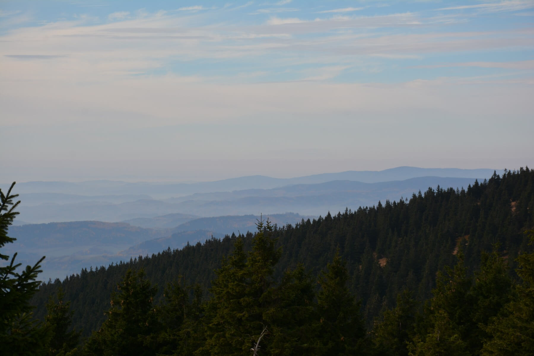 Obrázek /media/o52nqcgz/dsc_7807.jpg
