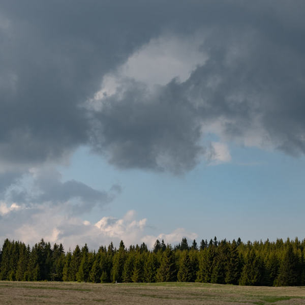 Obrázek /media/otnnuskg/mrtvý-rybník-kv-cfc-2.jpg