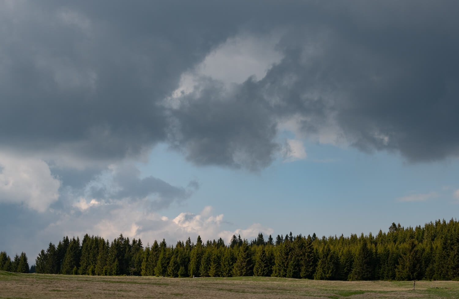 Obrázek /media/otnnuskg/mrtvý-rybník-kv-cfc-2.jpg