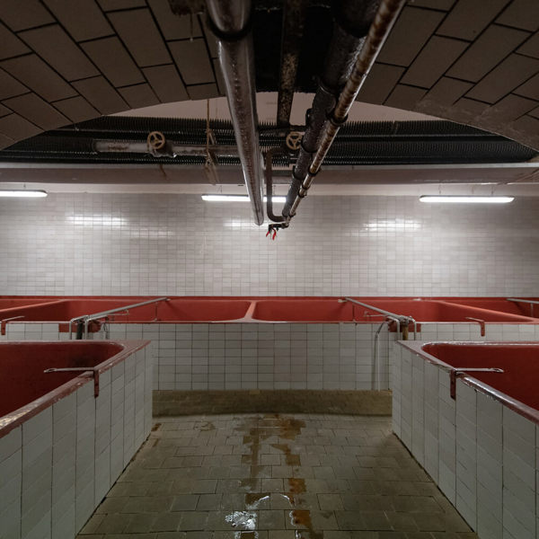 Obrázek /media/p3kcleig/_dsc1013.jpg