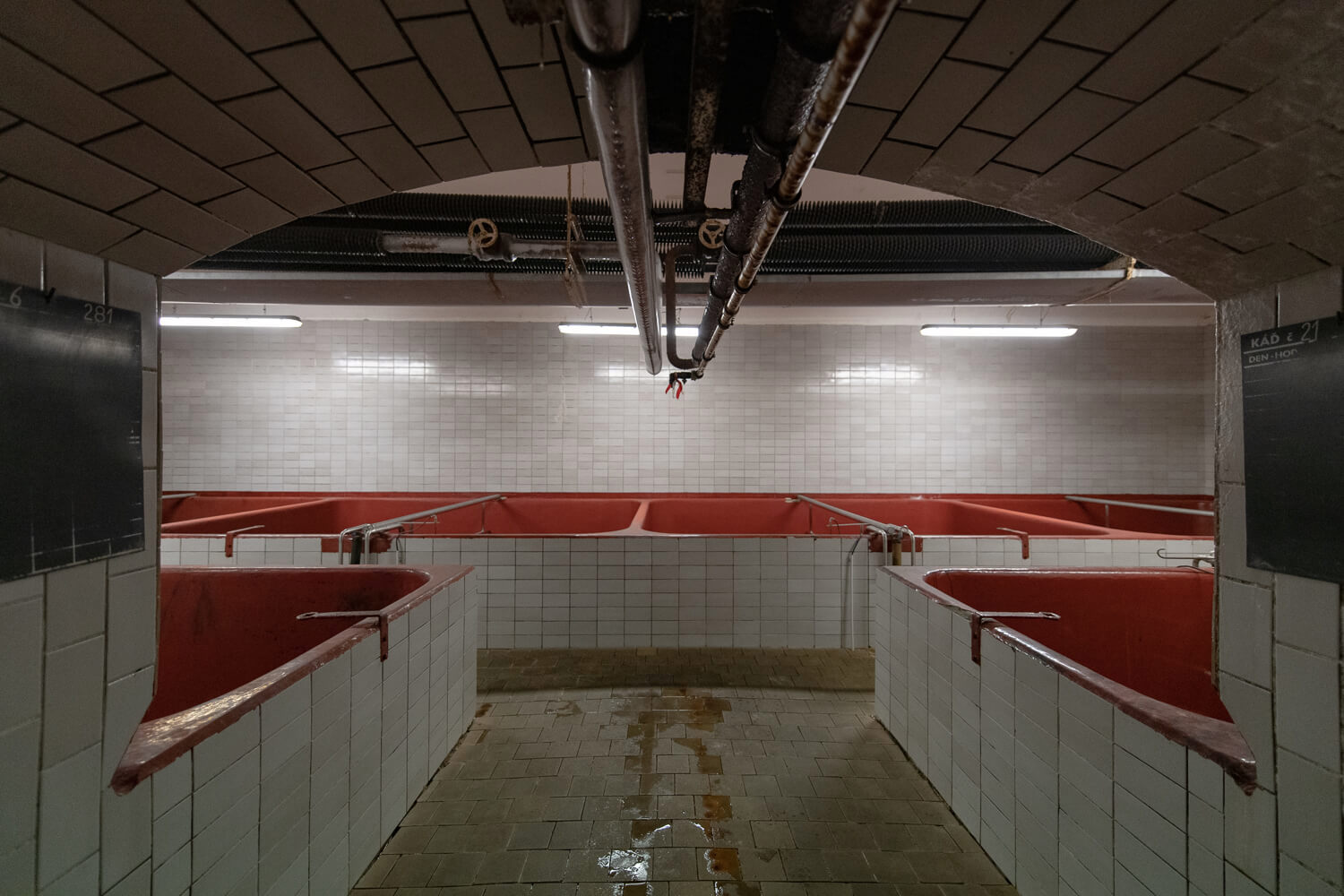 Obrázek /media/p3kcleig/_dsc1013.jpg