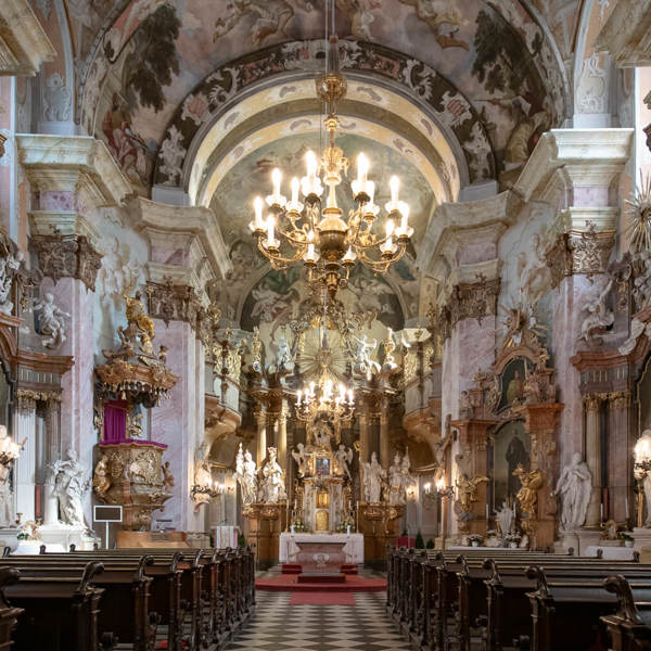 Obrázek /media/pgzdbamg/_dsc7701.jpg