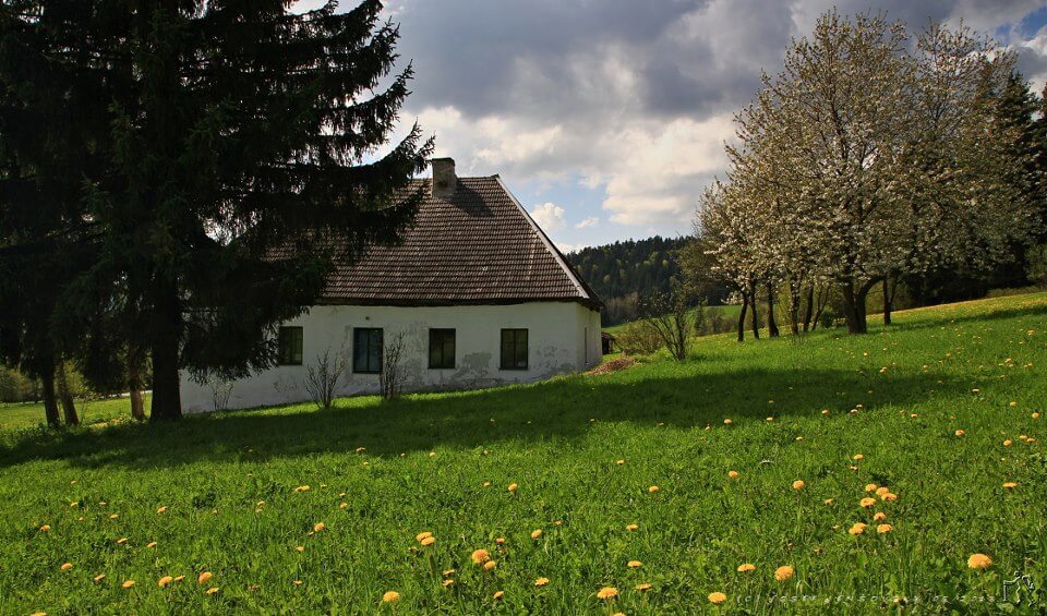 Obrázek /media/pj1dh4zd/countryside_jaro_jensovsky.jpg