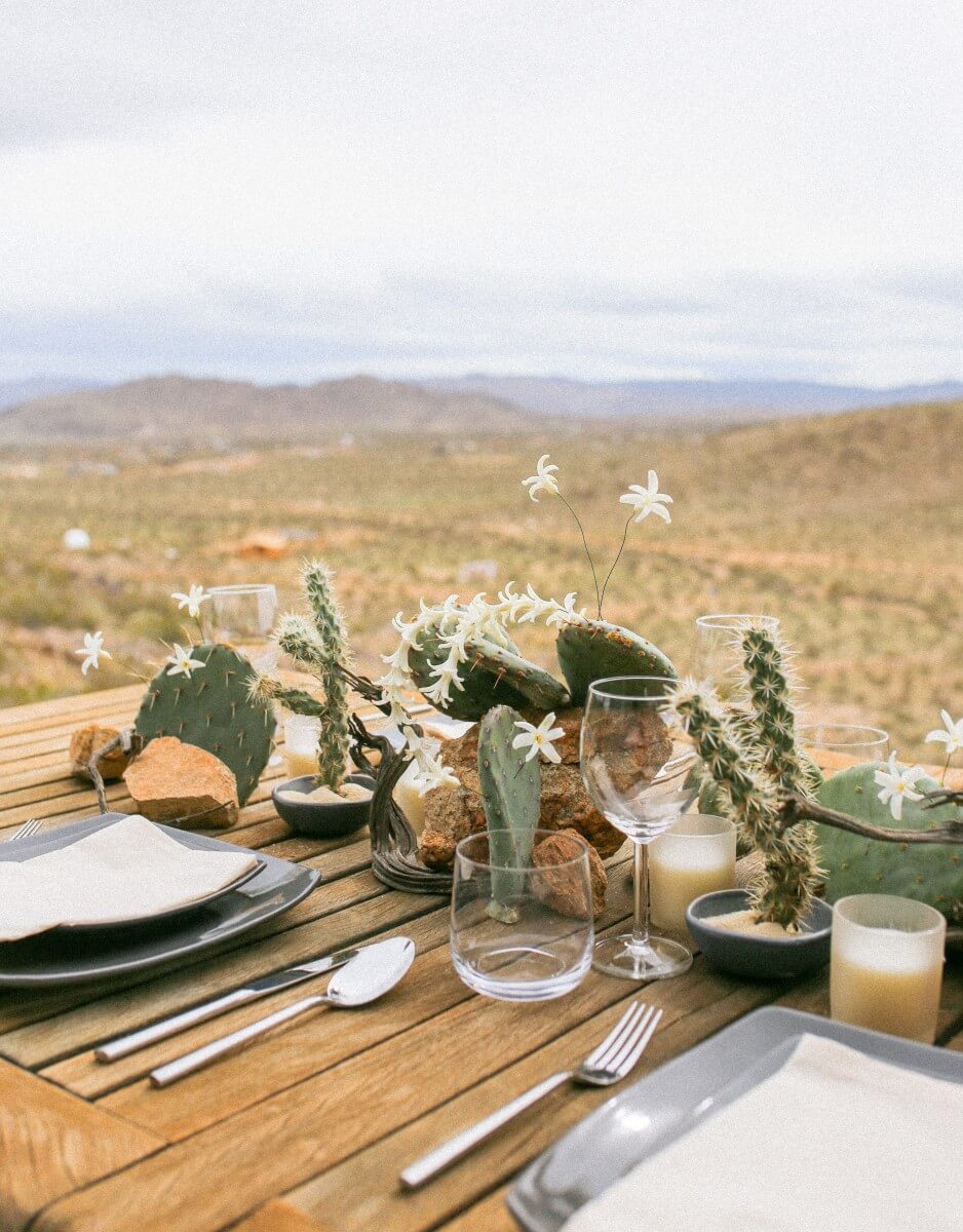 Obrázek /media/pmxc3v2t/orig-ivygarden_desert_view.jpeg