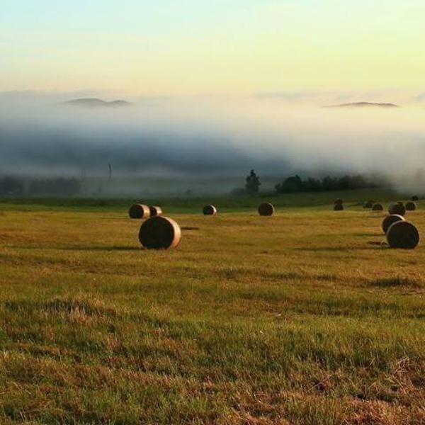 Obrázek /media/ps2dovkm/countryside_jaro_jensovsky5.jpg
