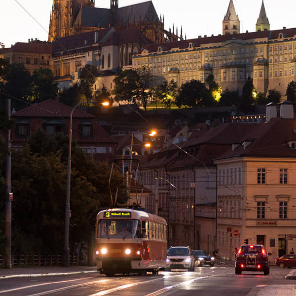 Obrázek /media/psob5sgg/dsc_1772.jpg