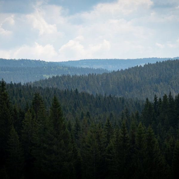Obrázek /media/qftcy4lx/dsc7922.jpg