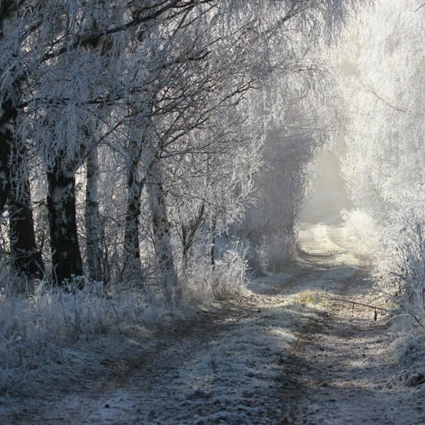 Obrázek /media/qqthdvps/countryside21.jpg