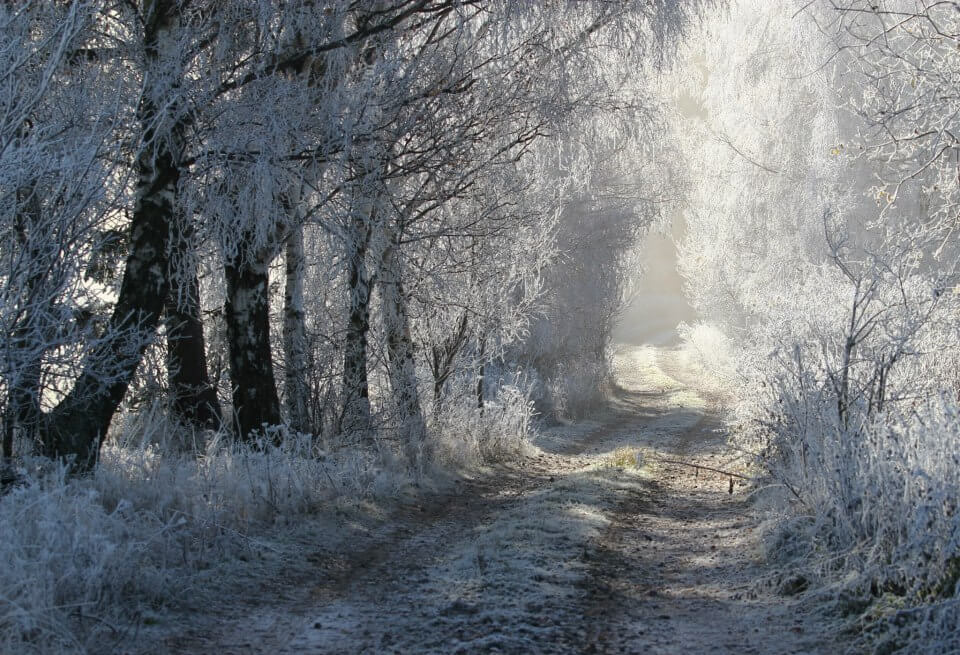 Obrázek /media/qqthdvps/countryside21.jpg