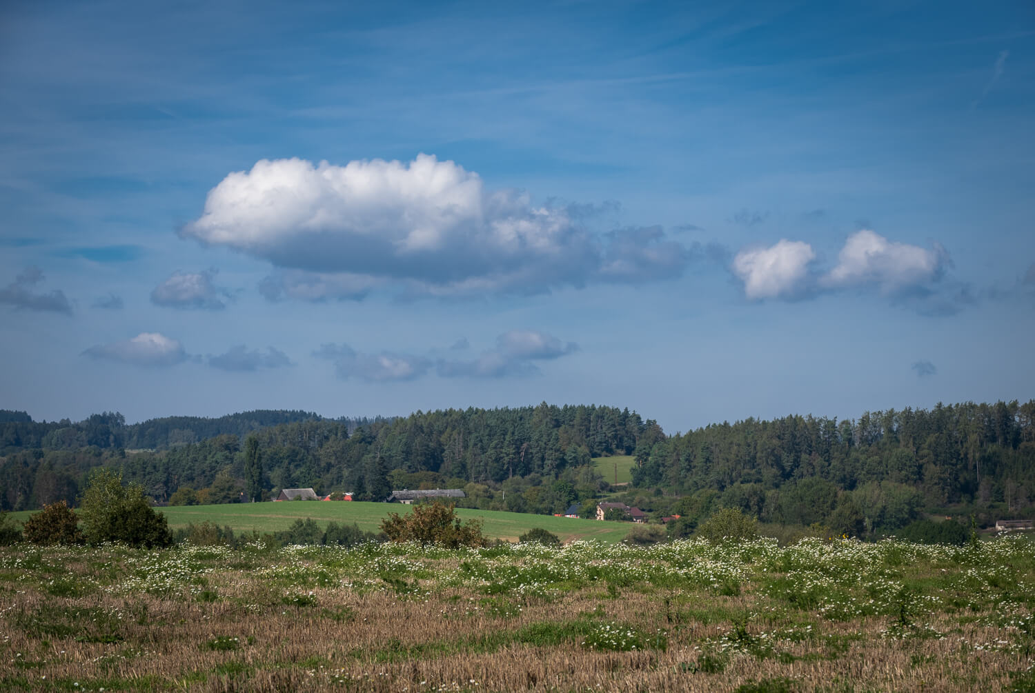 Obrázek /media/qvqpvz2o/_dsc8146.jpg