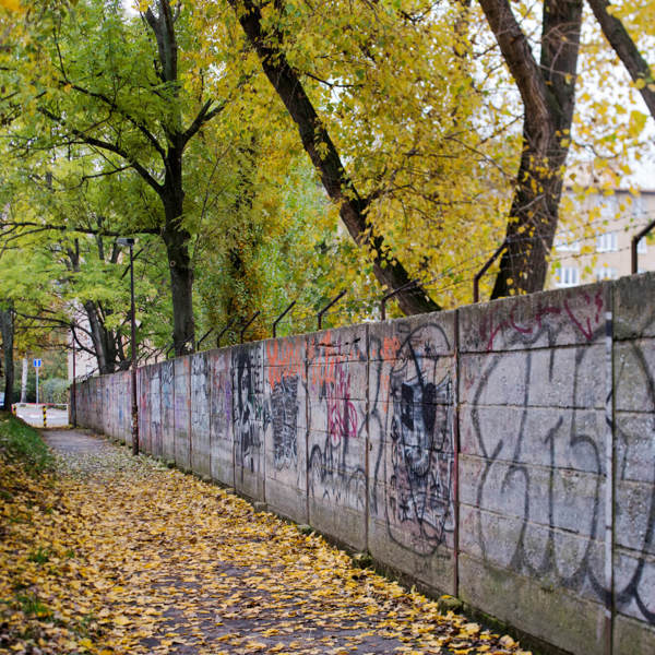 Obrázek /media/r0ml41cq/dsc_4991.jpg