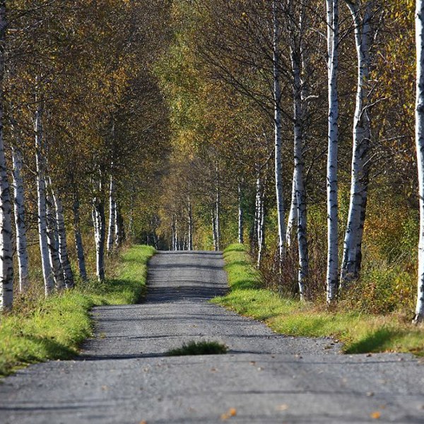 Obrázek /media/rmfnclnf/countryside22.jpg