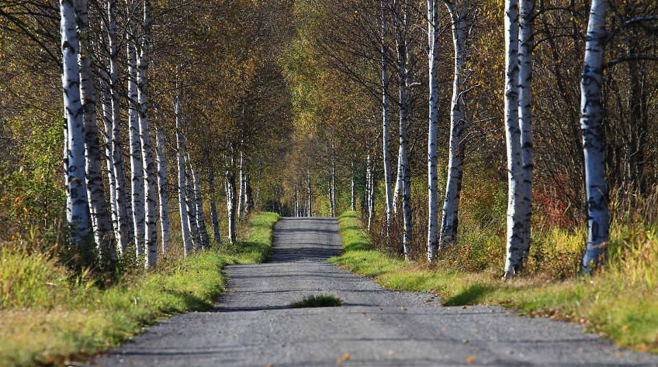Obrázek /media/rmfnclnf/countryside22.jpg