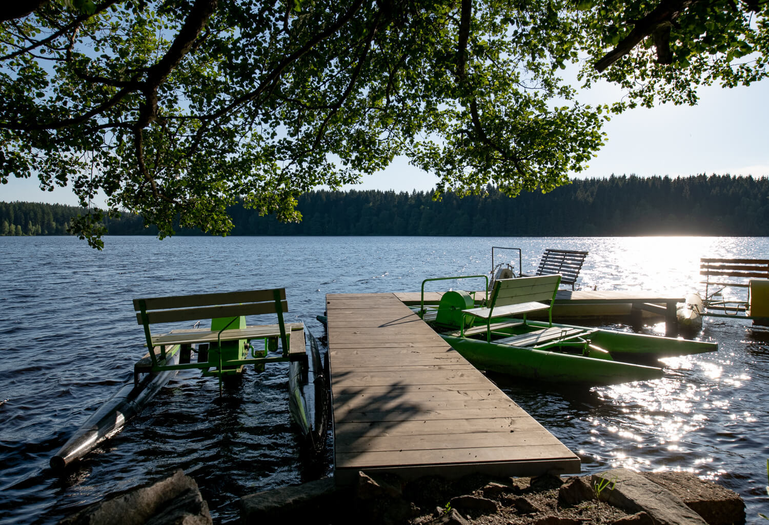 Obrázek /media/rnon34yc/_dsc9048.jpg