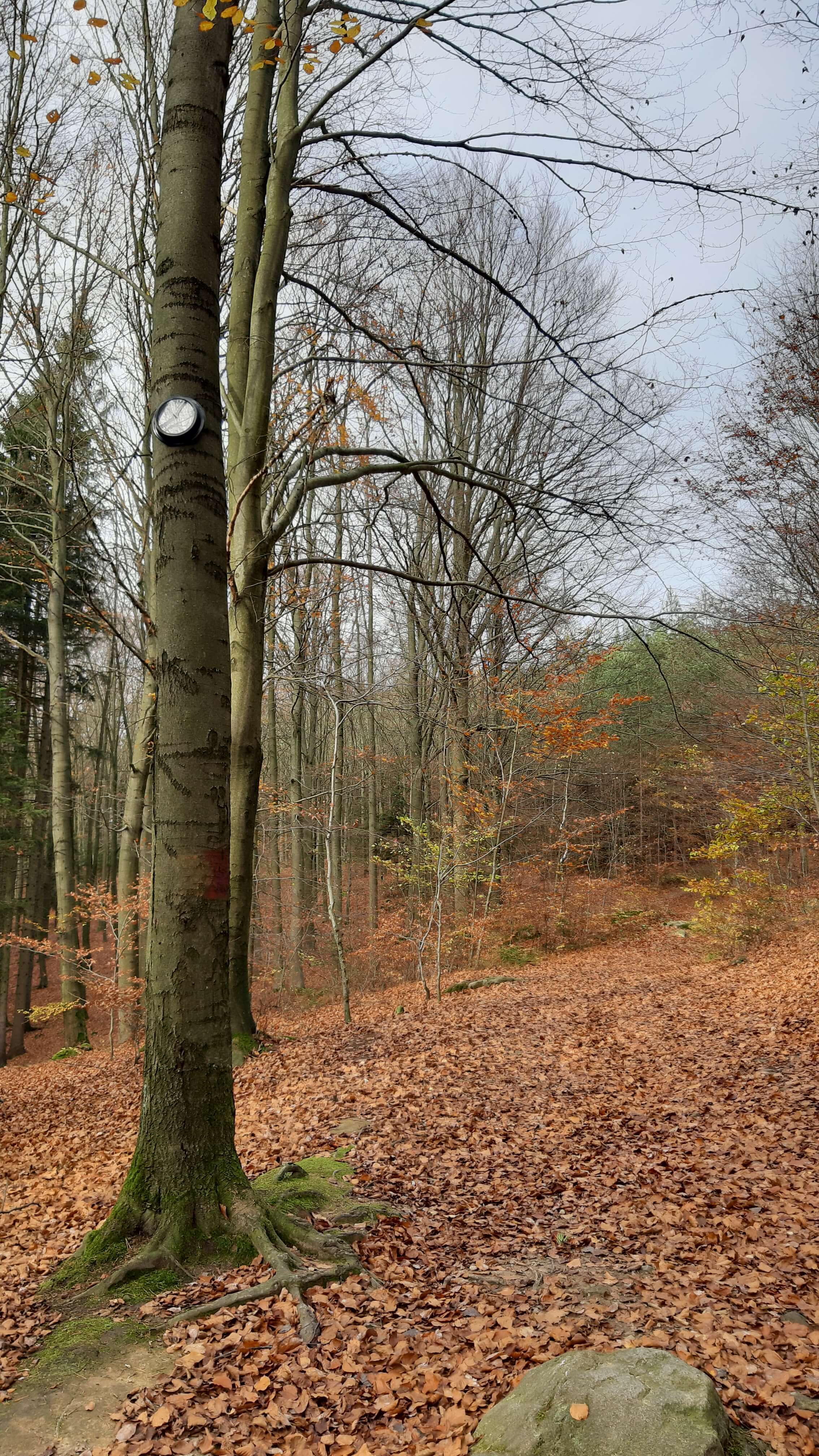 Obrázek /media/sjacigsi/20191106_115630.jpg