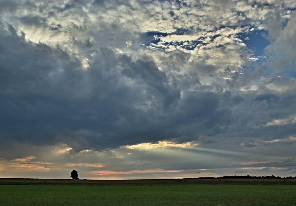 Obrázek /media/swppqt1u/countryside14.jpg