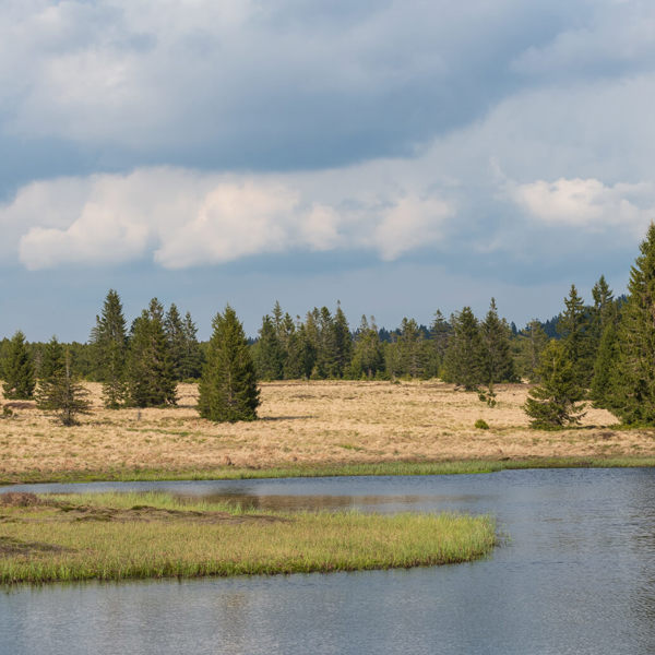 Obrázek /media/sylhuiso/dsc8150.jpg