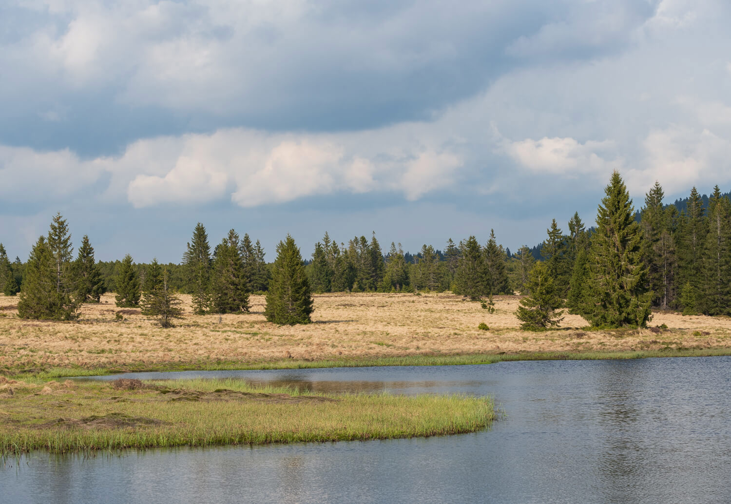 Obrázek /media/sylhuiso/dsc8150.jpg