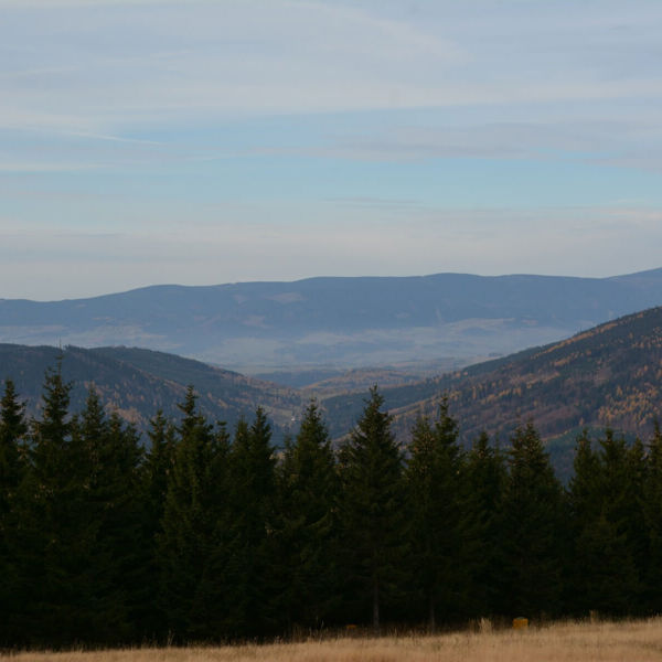Obrázek /media/tgmjaow3/dsc_7686.jpg