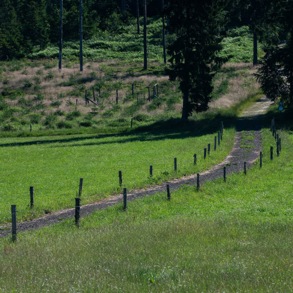 Obrázek /media/u22pxhou/_dsc2879.jpg