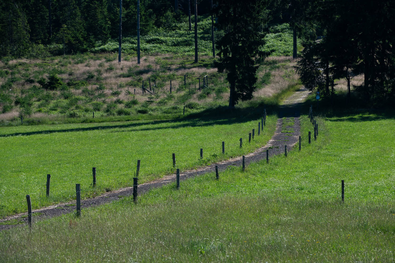 Obrázek /media/u22pxhou/_dsc2879.jpg