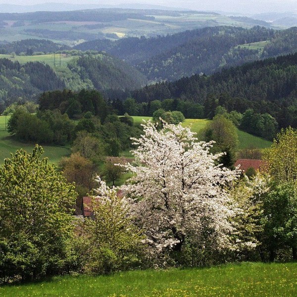 Obrázek /media/u53dkoah/prirodni_park_svratecka_hornina_3.jpg
