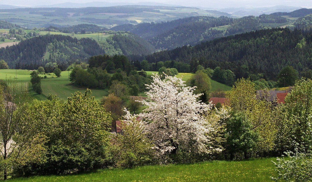 Obrázek /media/u53dkoah/prirodni_park_svratecka_hornina_3.jpg