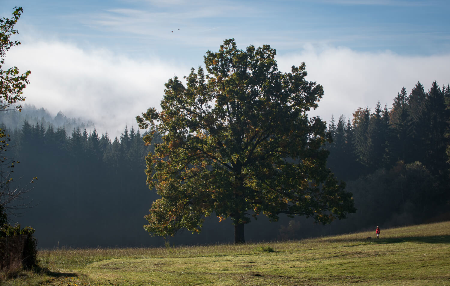 Obrázek /media/uq4lf3nq/_dsc9349.jpg