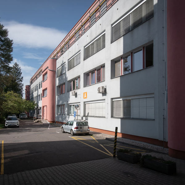 Obrázek /media/uwxdf0aq/_dsc8901.jpg