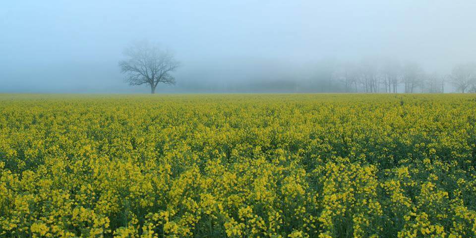 Obrázek /media/vfgffqz5/countryside6.jpg