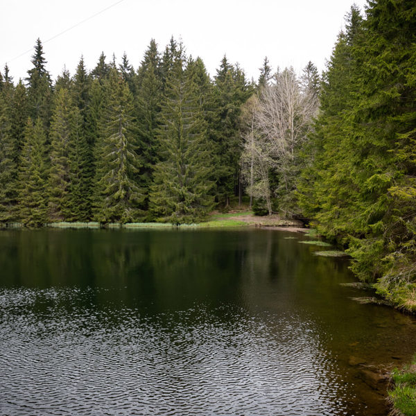 Obrázek /media/vjrbijtm/dsc8701.jpg