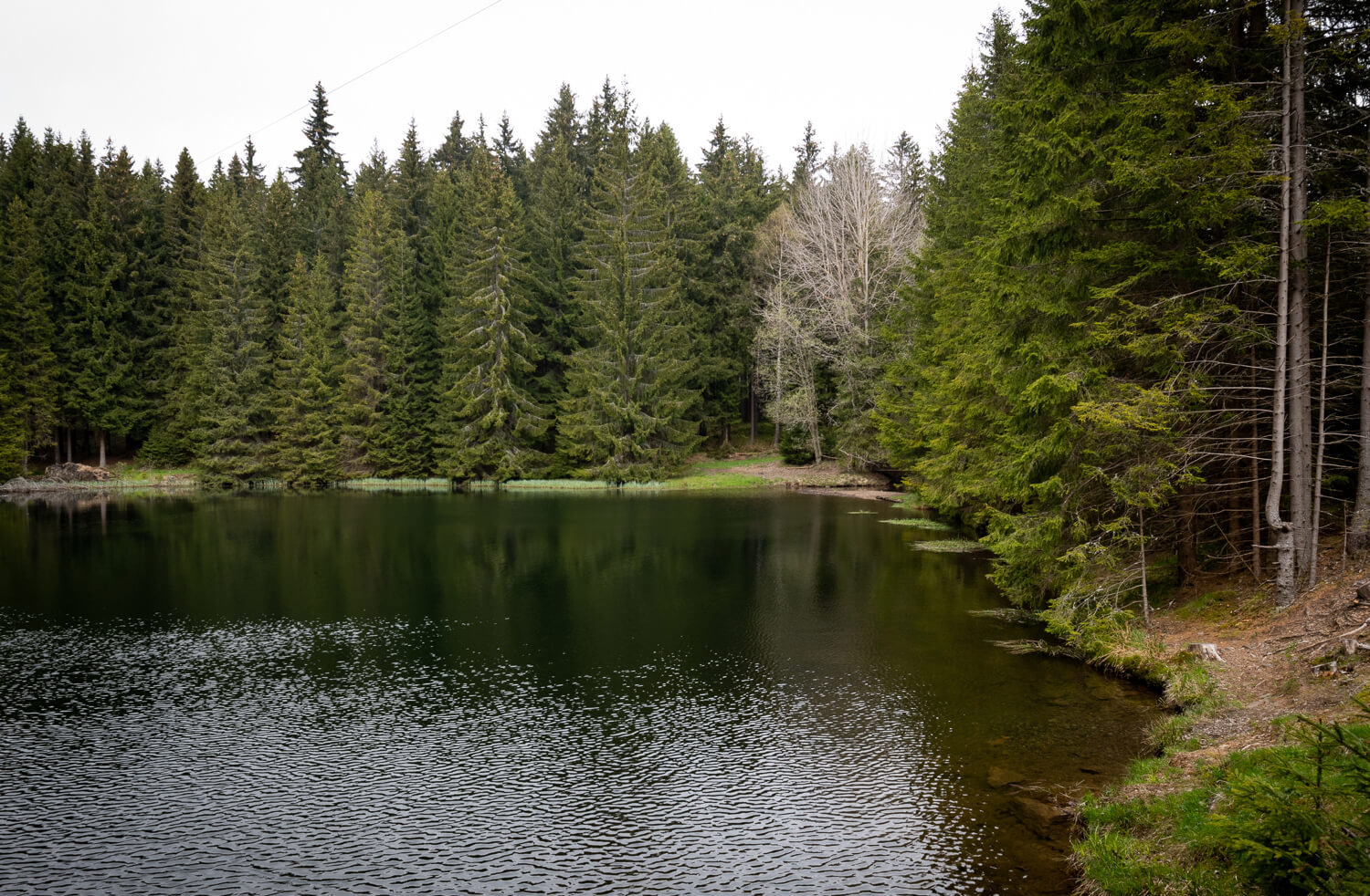 Obrázek /media/vjrbijtm/dsc8701.jpg