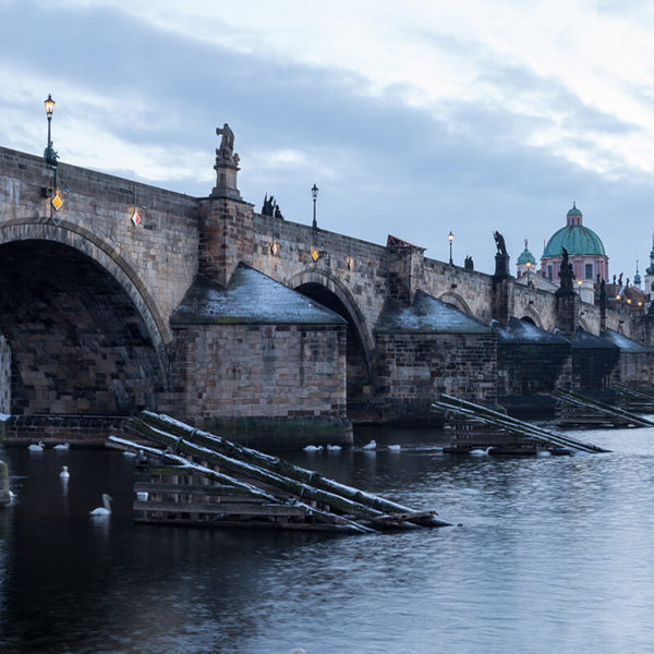 Obrázek /media/vpkfzop1/dsc_7856.jpg