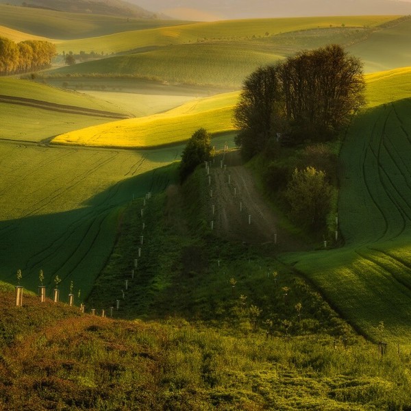 Obrázek /media/vuef3s1e/moravske_toskansko_f1a9002-2048_pouze_na_web_small.jpg