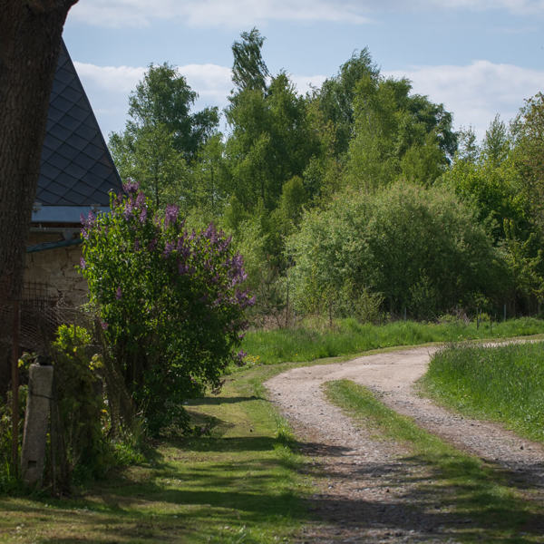 Obrázek /media/vuoplhae/_dsc5017.jpg