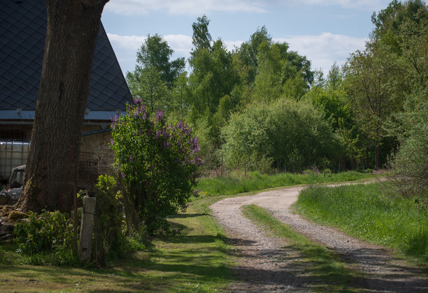 Obrázek /media/vuoplhae/_dsc5017.jpg