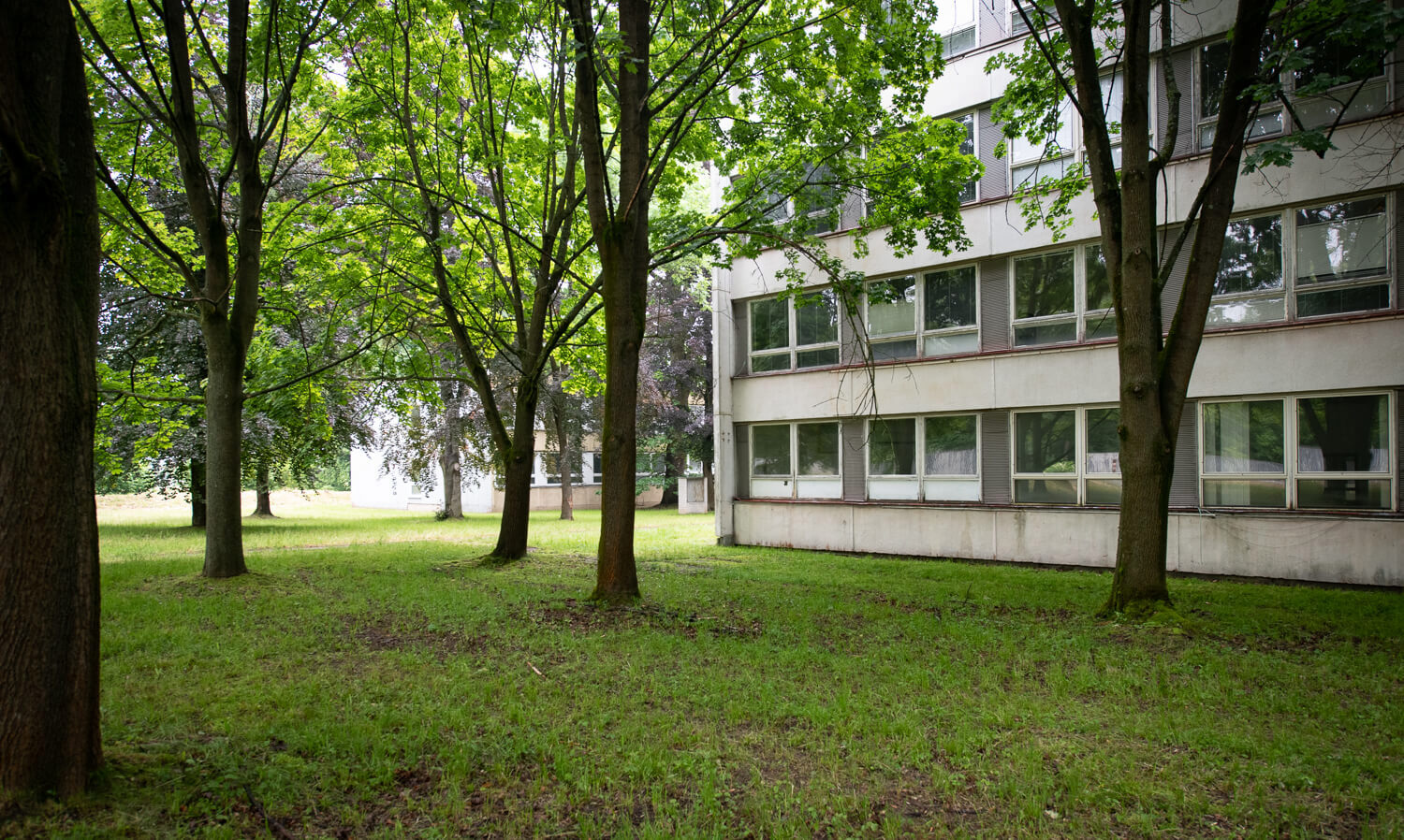 Obrázek /media/wfhiiljf/_dsc0967.jpg