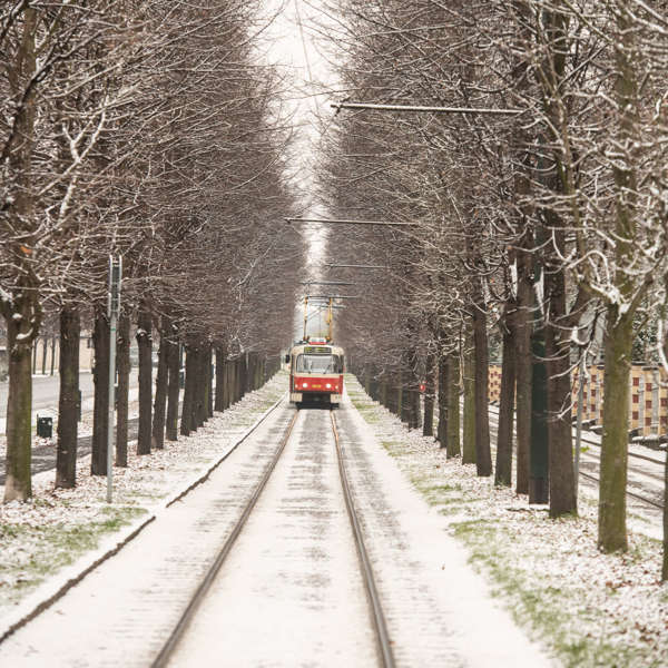 Obrázek /media/wzgphnvi/tramvaj_14_full.jpg